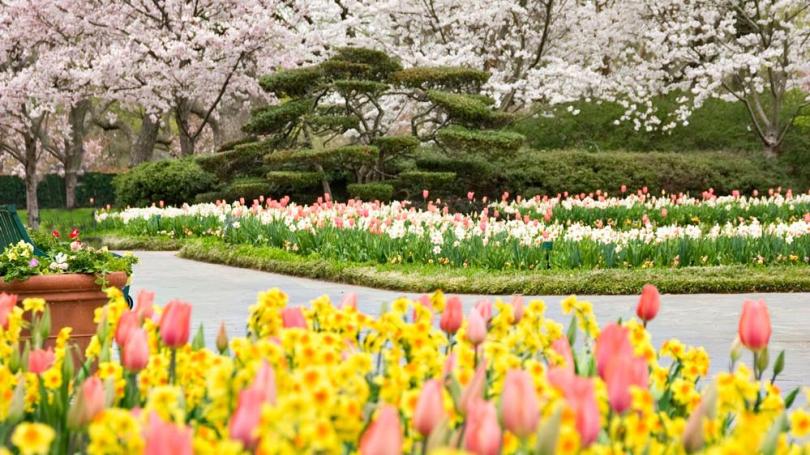 Dallas Blooms - America's Best Spring Flower Festivals | Fodors